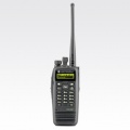 Motorola DP 3600 / 3601 (  )